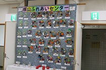 31